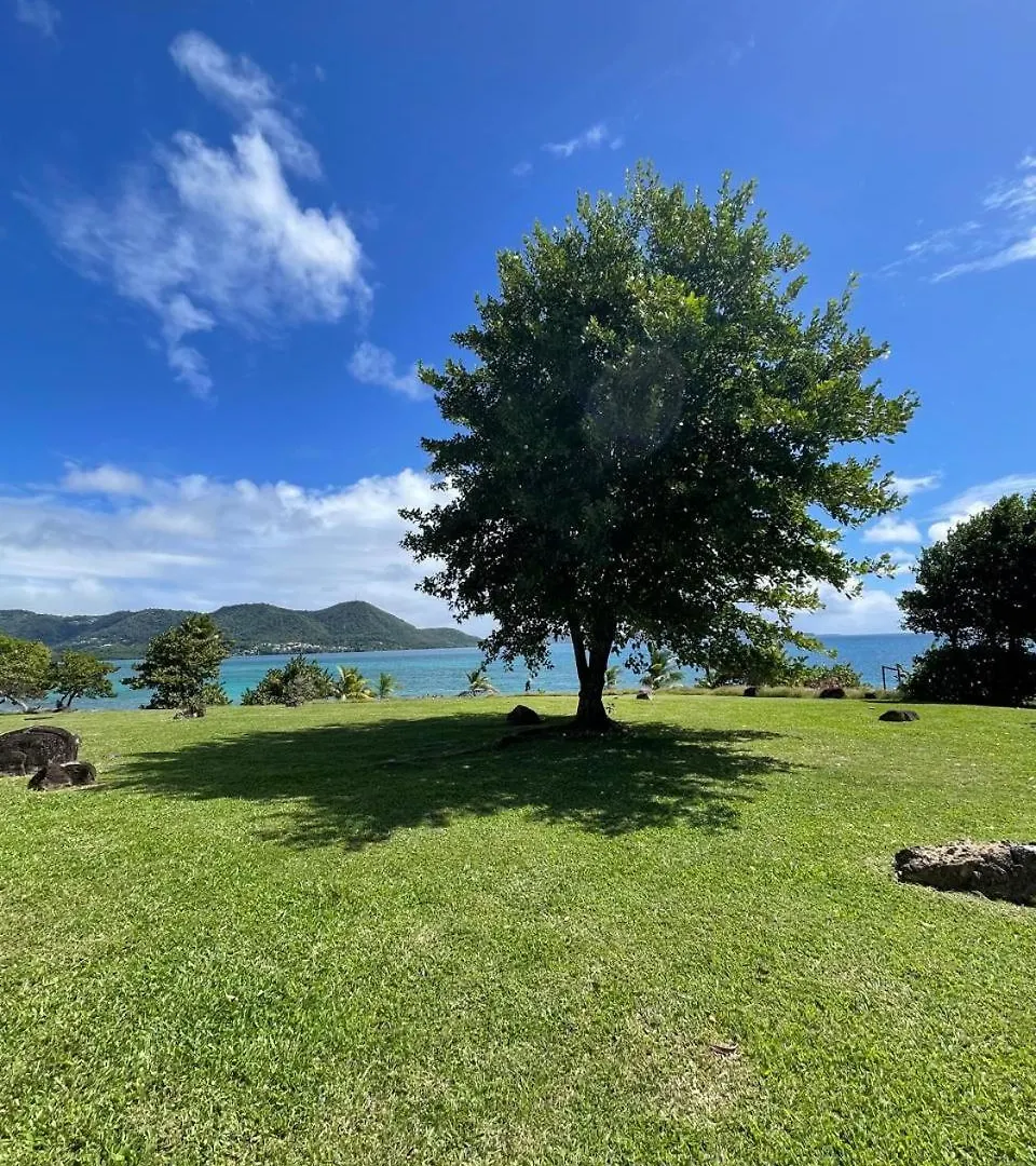 Beachfront Studio972 Sainte-Luce Martinik
