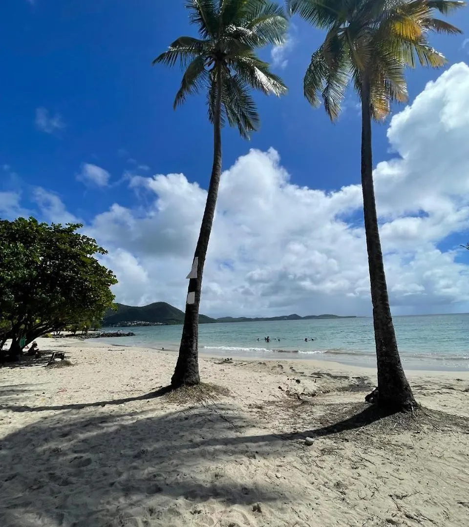 Beachfront Studio972 Sainte-Luce