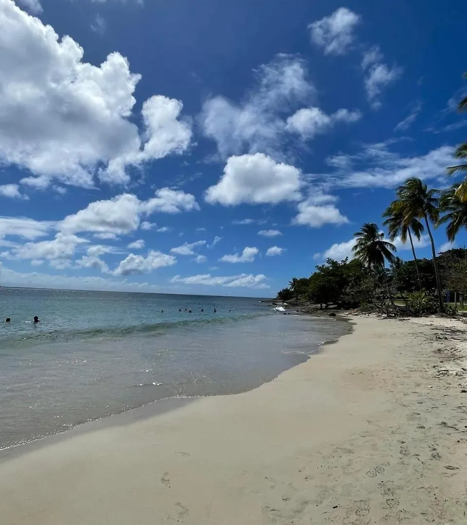 Beachfront Studio972 Sainte-Luce 0*,  Martinica