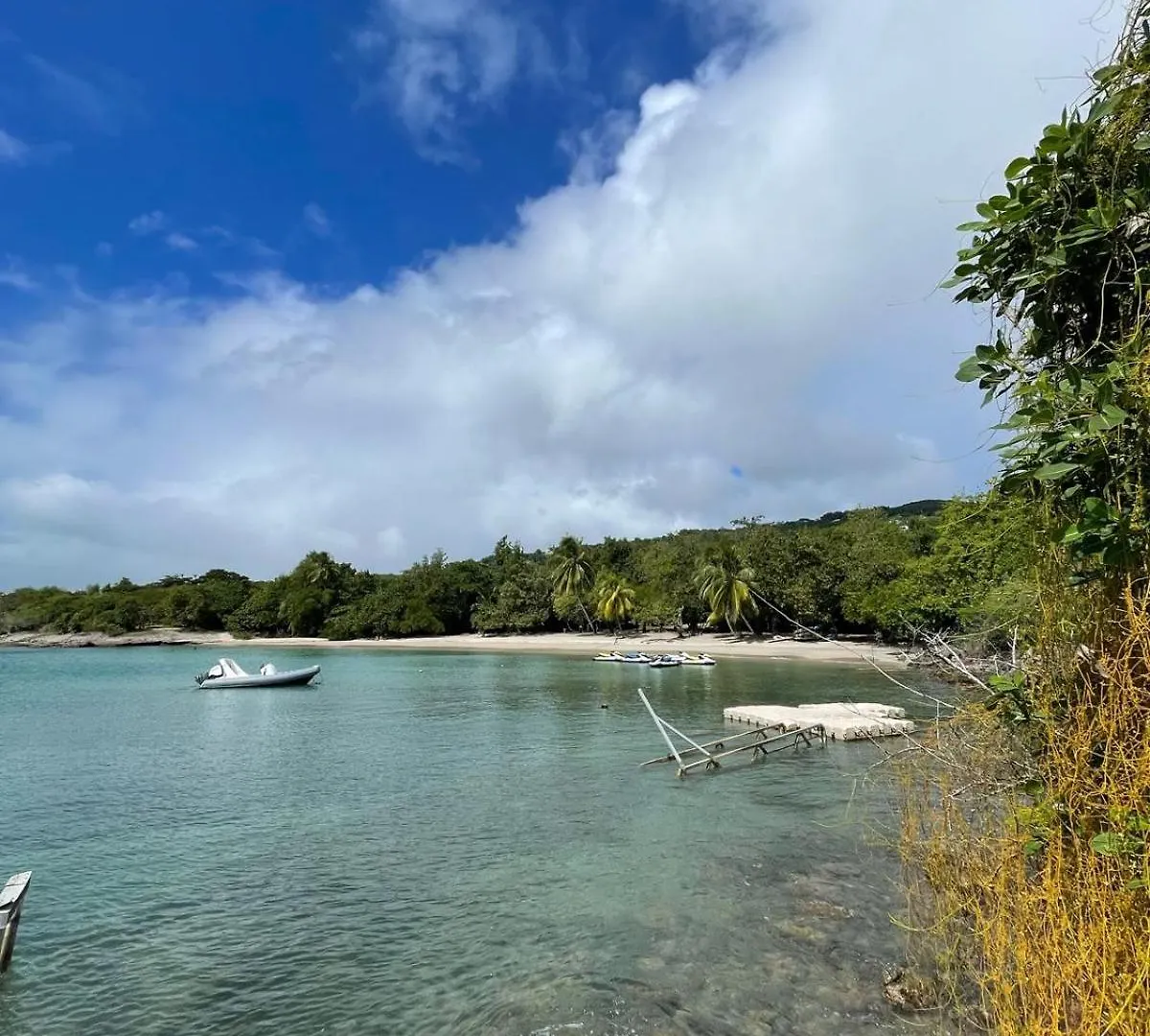 Beachfront Studio972 Sainte-Luce Apartamento